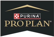 Pro Plan
